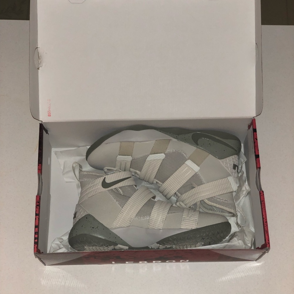 Lebron Nike basketball shoes